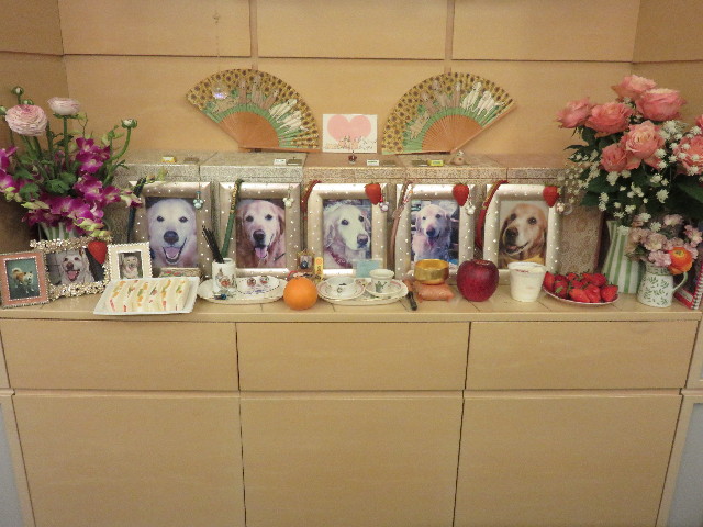 ファイル 4818-5.jpg