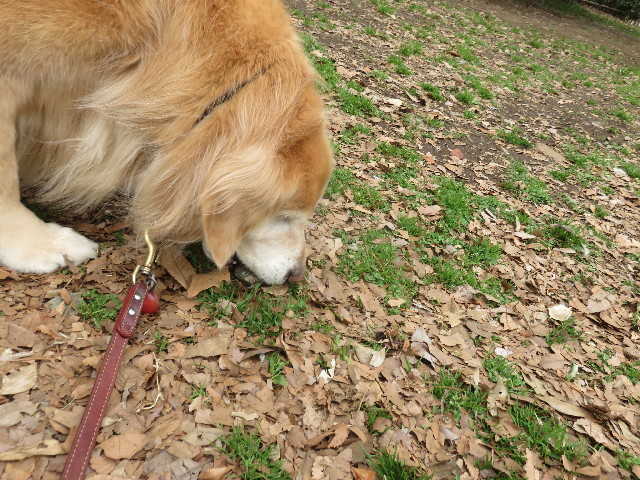 ファイル 4819-2.jpg