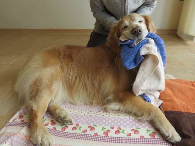 ファイル 4819-4.jpg