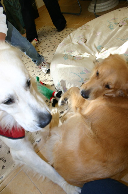 ファイル 482-2.jpg