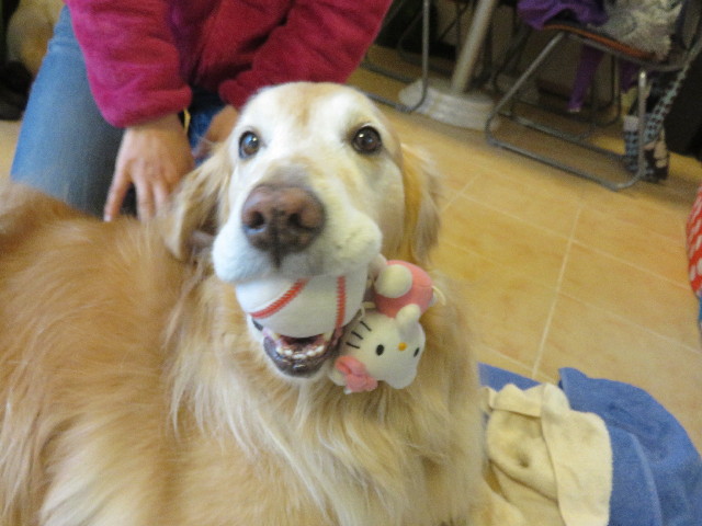 ファイル 4820-4.jpg