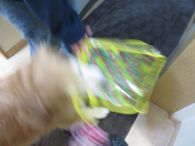 ファイル 4823-1.jpg