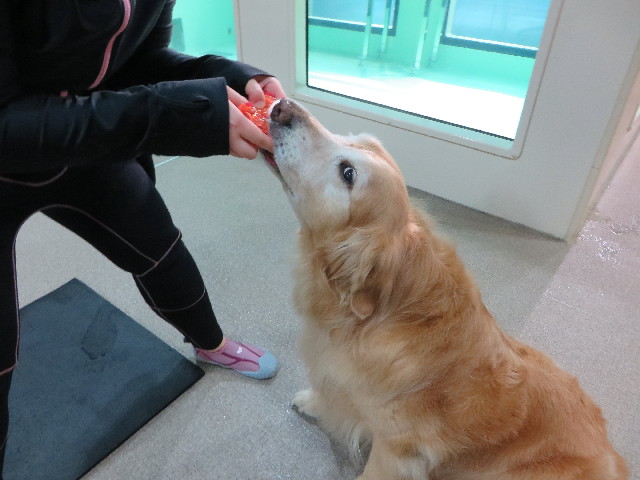 ファイル 4823-2.jpg