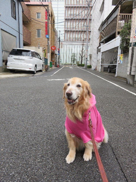 ファイル 4824-1.jpg