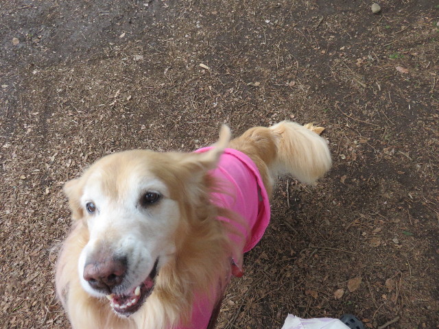 ファイル 4824-2.jpg