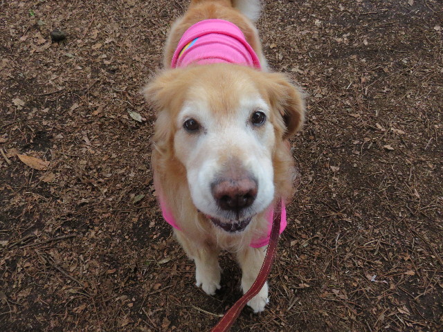 ファイル 4824-3.jpg