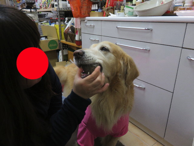 ファイル 4824-4.jpg