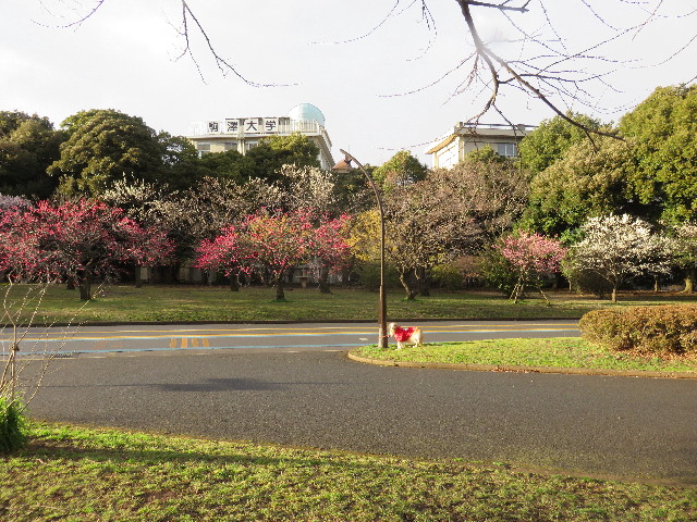 ファイル 4825-3.jpg