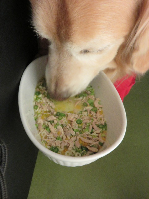 ファイル 4827-3.jpg