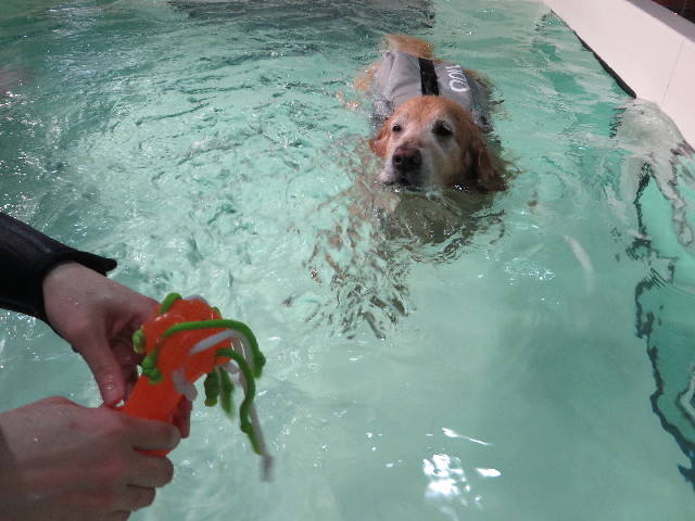 ファイル 4829-4.jpg