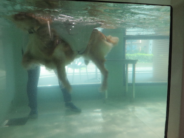 ファイル 4829-5.jpg