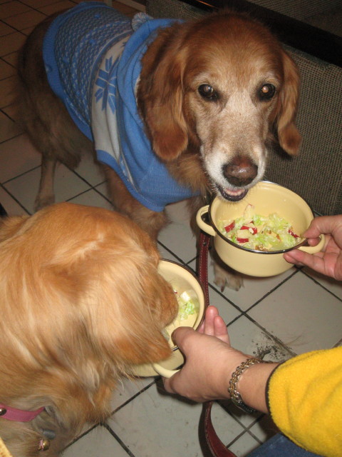 ファイル 483-3.jpg