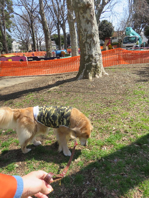 ファイル 4830-1.jpg