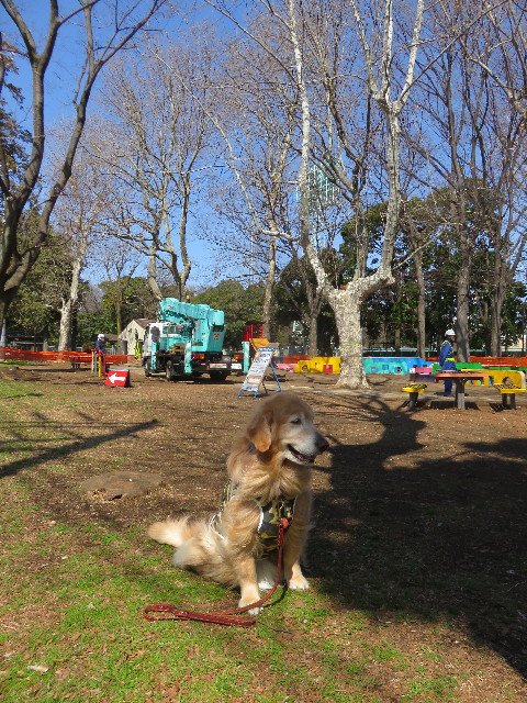 ファイル 4830-3.jpg