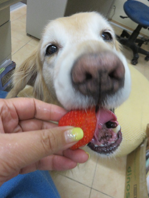 ファイル 4831-2.jpg