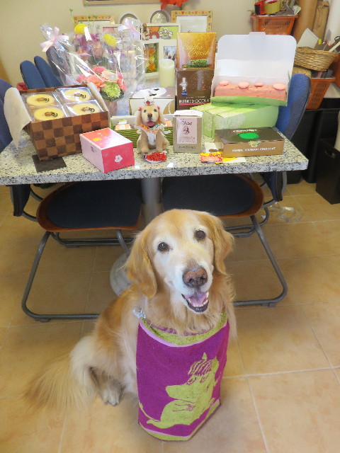 ファイル 4833-1.jpg