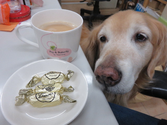 ファイル 4833-5.jpg