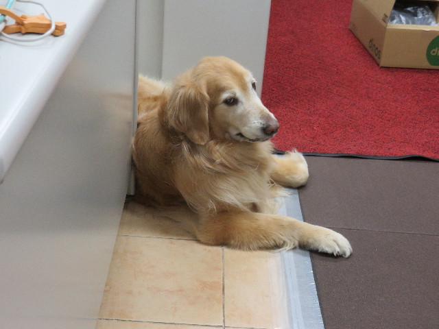 ファイル 4835-1.jpg