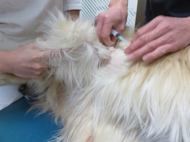 ファイル 4835-3.jpg