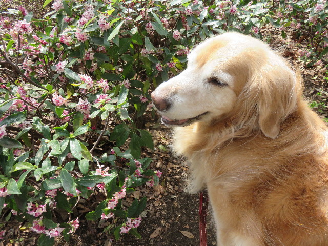 ファイル 4836-4.jpg