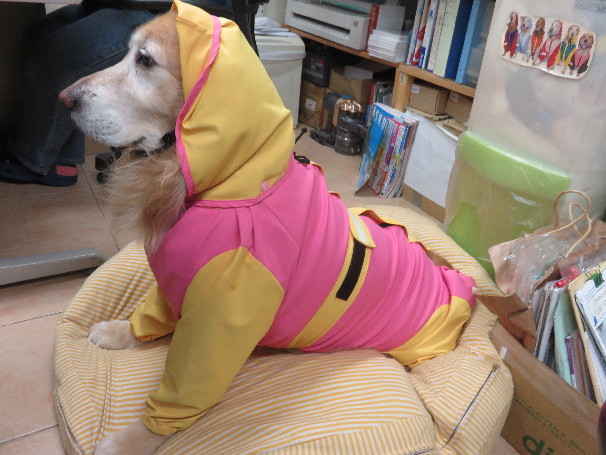 ファイル 4836-5.jpg