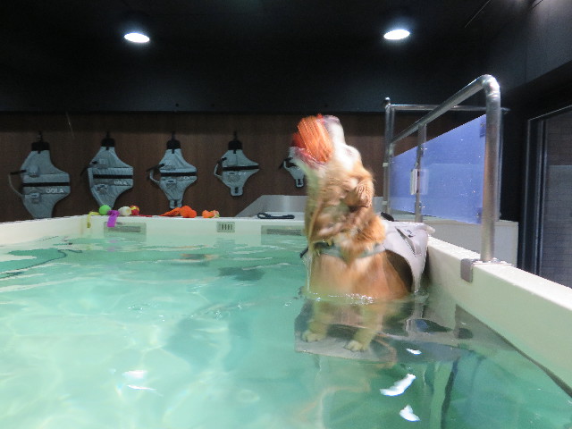 ファイル 4837-4.jpg