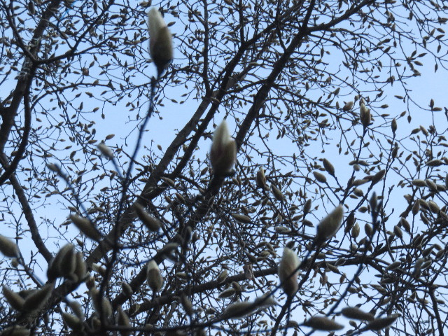 ファイル 4839-3.jpg