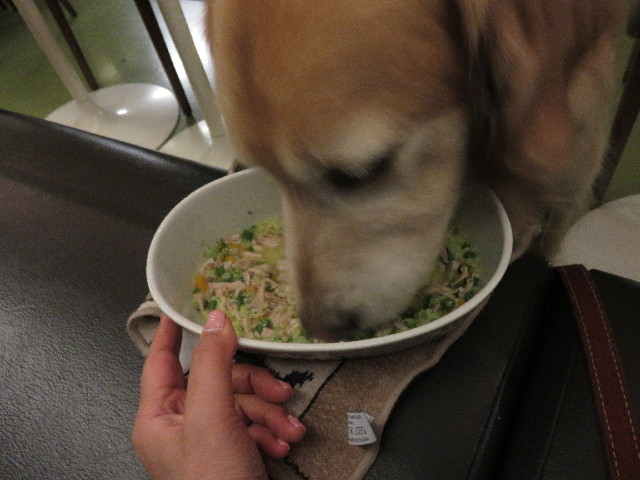 ファイル 4839-5.jpg