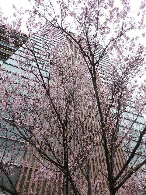 ファイル 4840-4.jpg