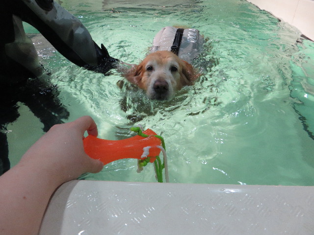 ファイル 4841-4.jpg