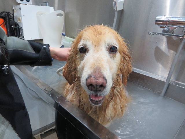 ファイル 4841-5.jpg