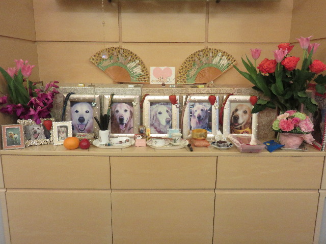 ファイル 4843-1.jpg