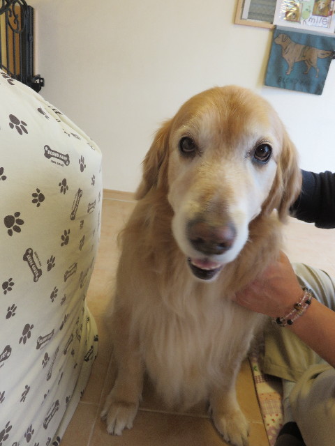 ファイル 4845-5.jpg