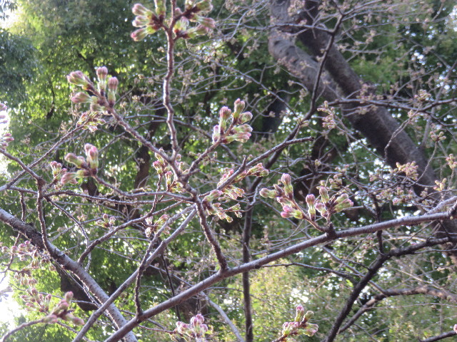 ファイル 4846-5.jpg