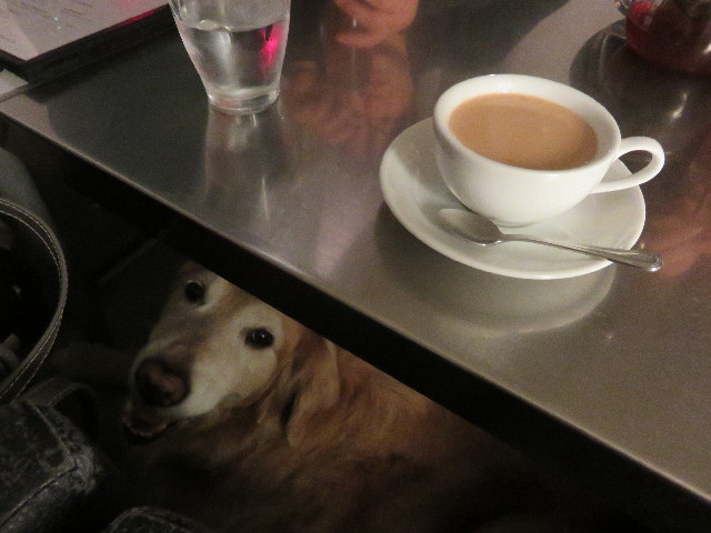 ファイル 4847-1.jpg