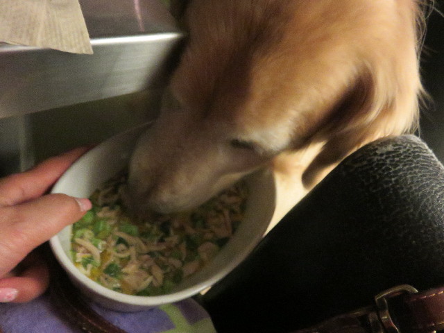 ファイル 4847-3.jpg