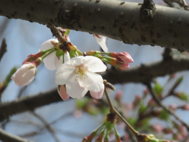 ファイル 4848-2.jpg