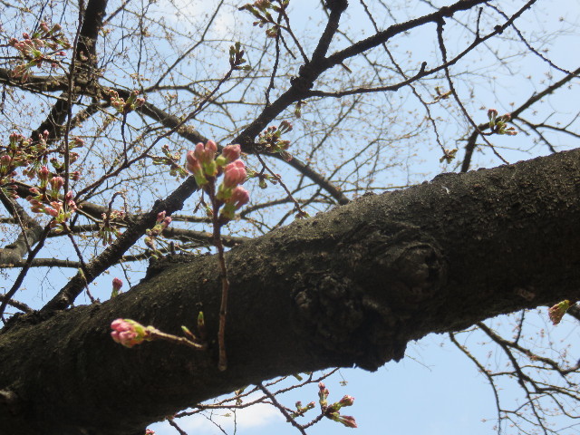 ファイル 4848-3.jpg