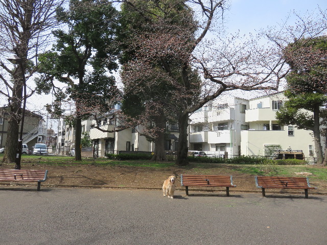 ファイル 4848-4.jpg