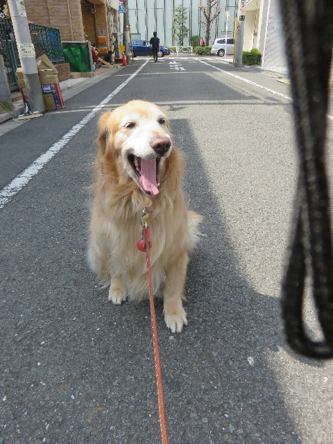 ファイル 4850-1.jpg