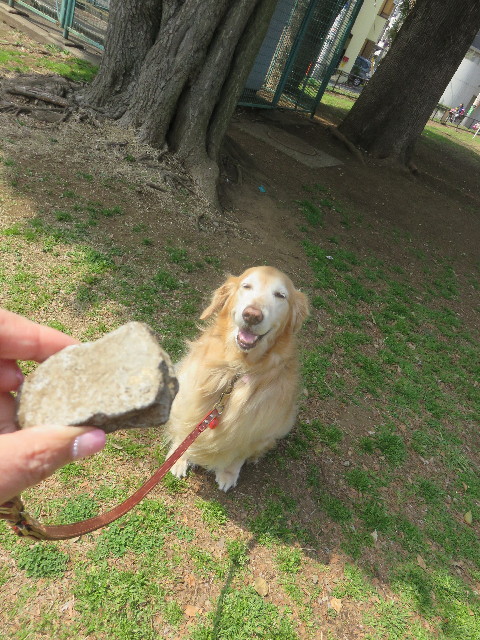 ファイル 4850-2.jpg