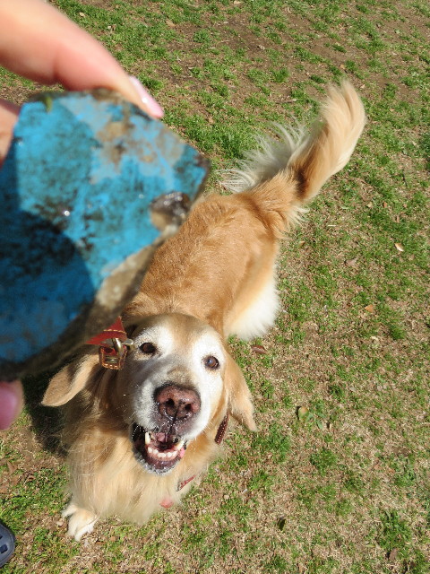 ファイル 4850-3.jpg