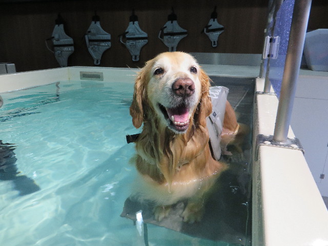 ファイル 4850-4.jpg