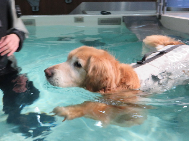 ファイル 4850-5.jpg