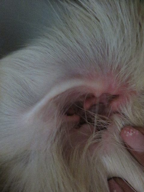 ファイル 4853-2.jpg