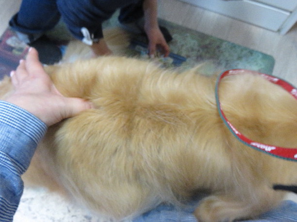 ファイル 4853-3.jpg