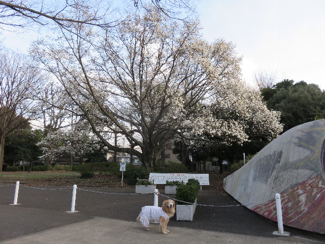 ファイル 4854-4.jpg