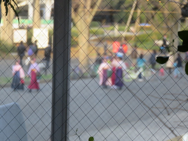 ファイル 4854-5.jpg