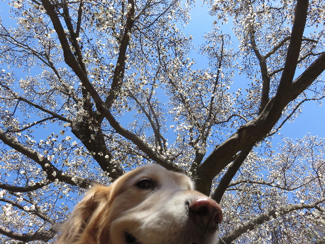 ファイル 4855-4.jpg