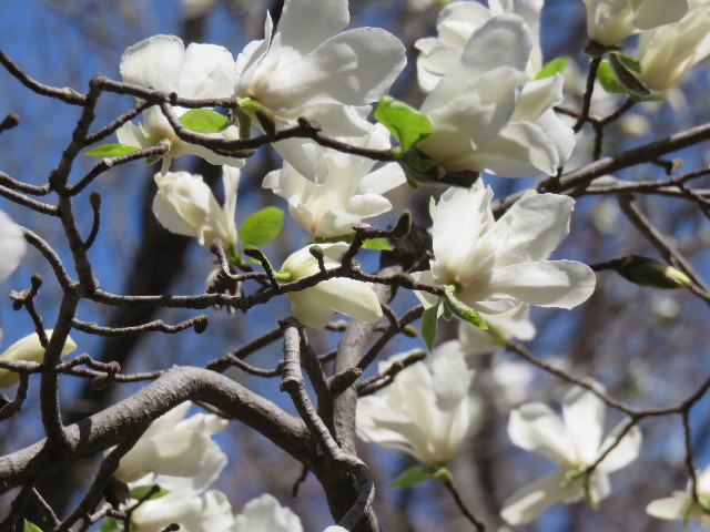 ファイル 4858-2.jpg